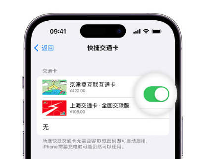 遵化apple维修点分享iPhone上更换Apple Pay快捷交通卡手绘卡面 