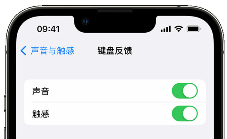 遵化苹果手机维修分享iPhone 14触感键盘使用方法 