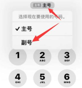 遵化苹果14维修店分享iPhone 14 Pro Max使用副卡打电话的方法 