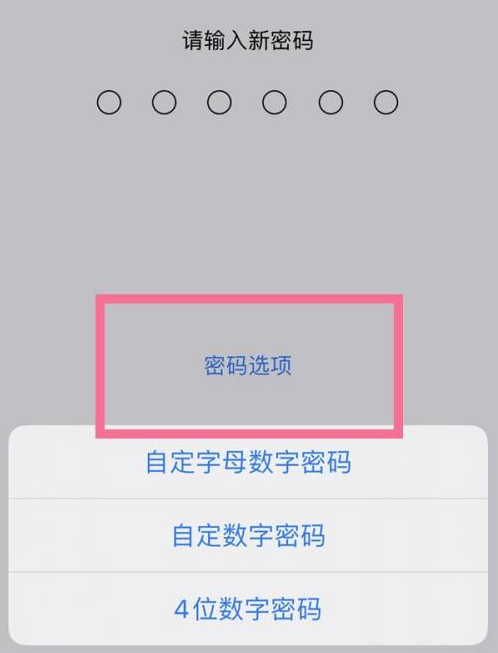 遵化苹果14维修分享iPhone 14plus设置密码的方法 