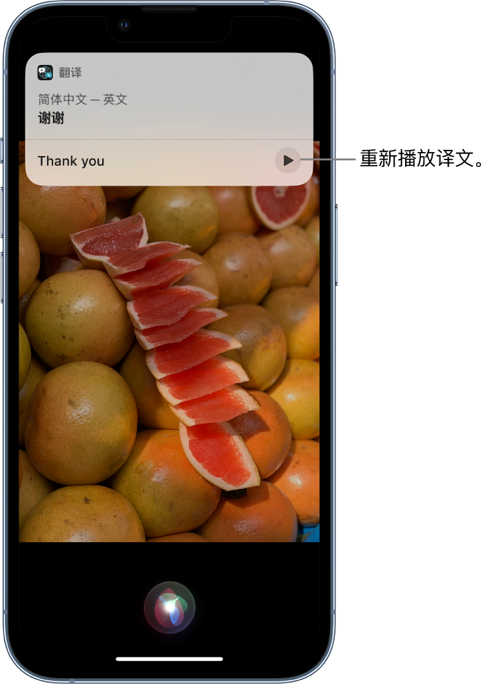 遵化苹果14维修分享 iPhone 14 机型中使用 Siri：了解 Siri 能帮你做什么 