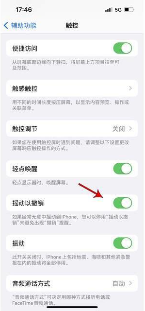 遵化苹果手机维修分享iPhone手机如何设置摇一摇删除文字 